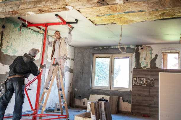 Best Eco-Friendly Insulation in Clarks Summit, PA