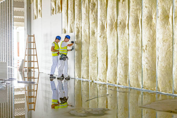 Best Cellulose Insulation in Clarks Summit, PA